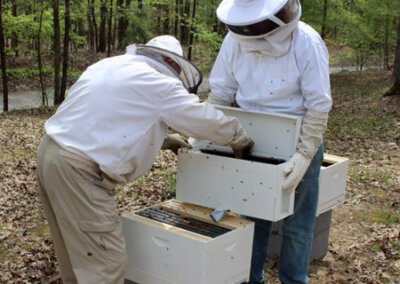 TN Pollinator Habitat Program | Big Hill Pond State Park
