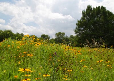 TN Pollinator Habitat Program | Ardmore Welcome Center