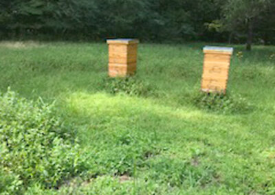 Montgomery Bell State Park | TN Pollinator Habitat Program