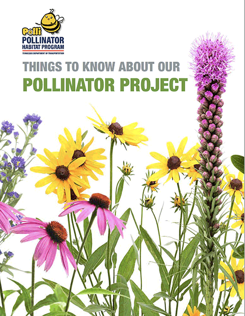 Pollinator References, Helpful Gardening Guides, and Planting Instructions | Tennessee Department of Transportation's Partners for Pollinators Habitat Program