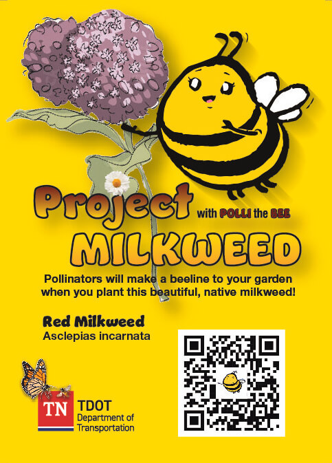 TN Pollinators | Red Milkweed – Asclepias incarnata