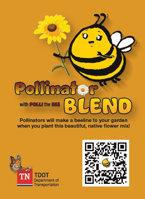 TN Pollinators | Seed Mix