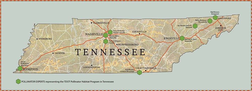 Tennessee Department of Transportation’s Pollinator Habitat Program | Find a speaker