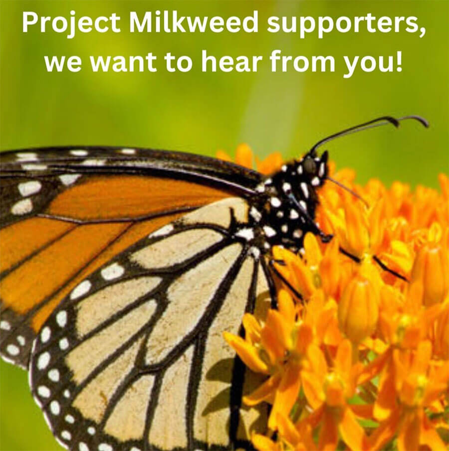 If you are a TN resident that received and planted milkweed seeds from TDOT in the Summer of 2023, please share your experience with us.